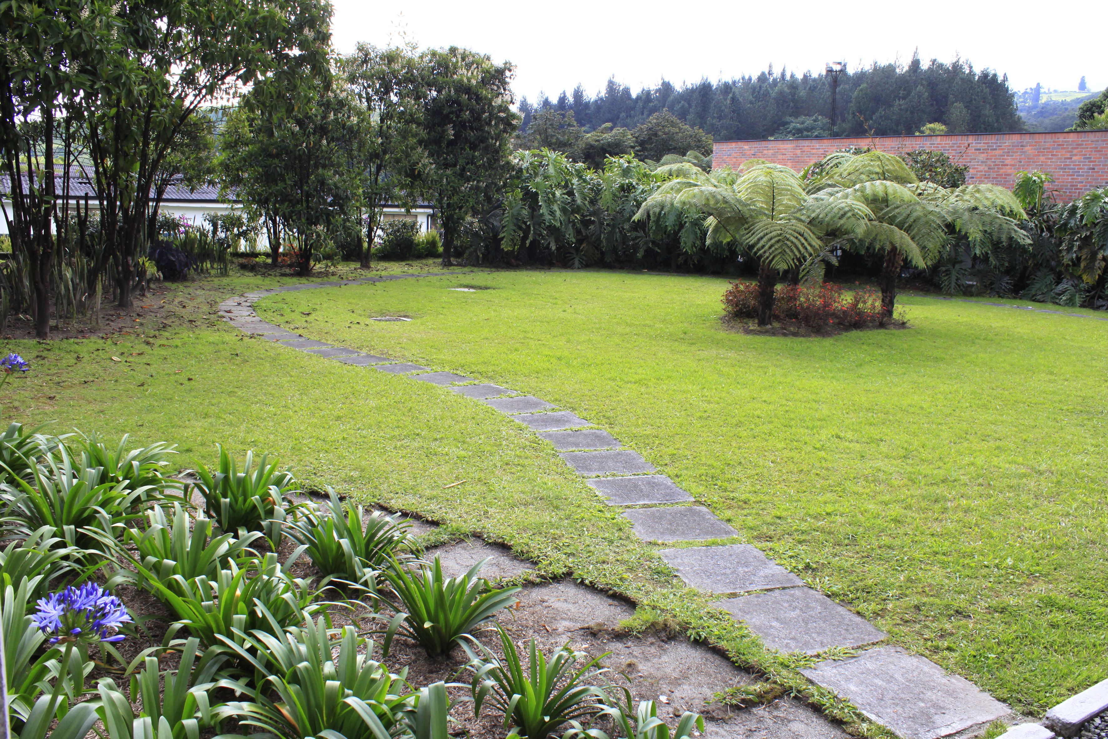 A well-maintained garden with a stone pathway, lush greenery, and a variety of plants.