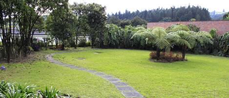 A well-maintained garden with a stone pathway, lush greenery, and a variety of plants.