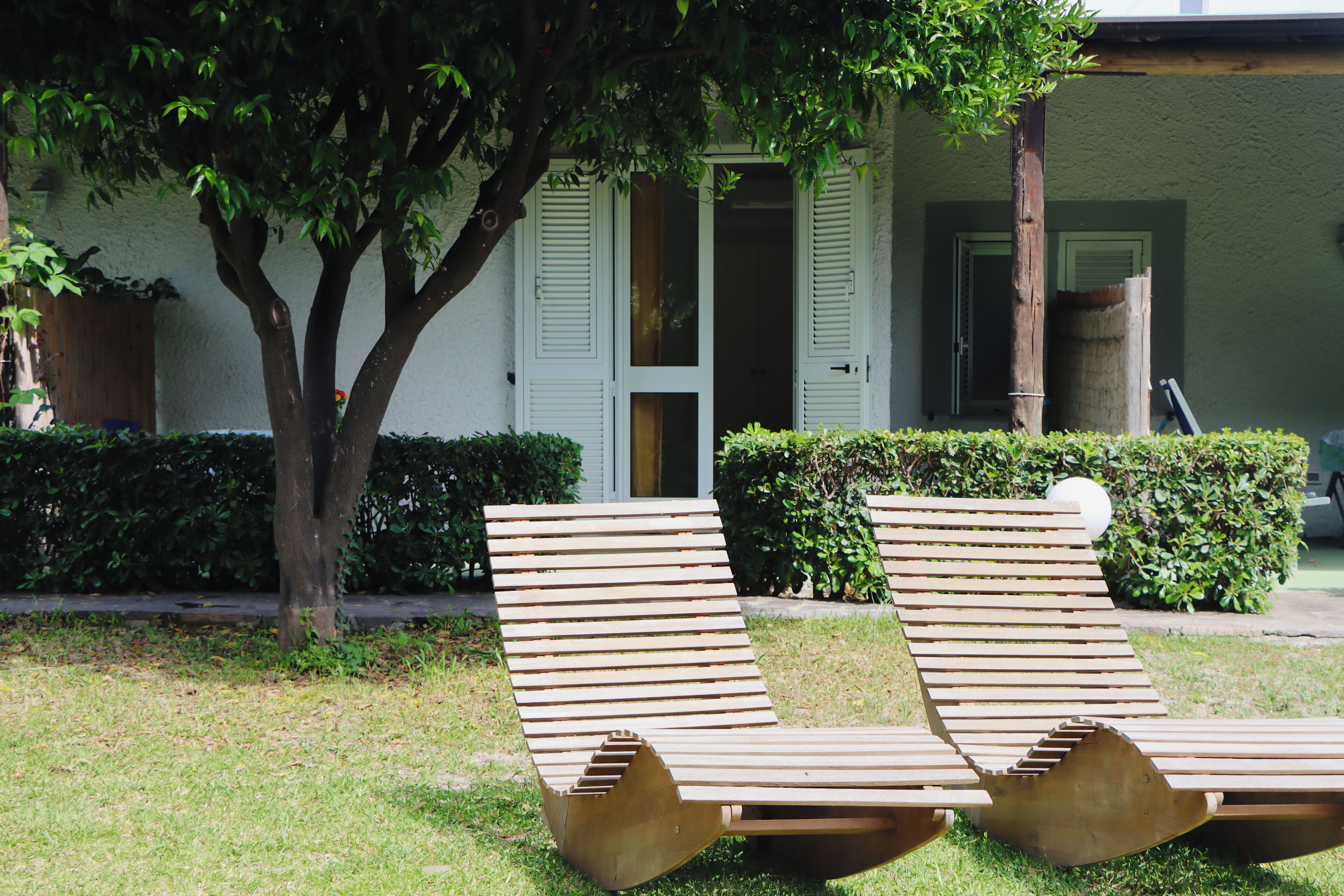 Two wooden lounge chairs in a garden area with a tree and a building in the background.