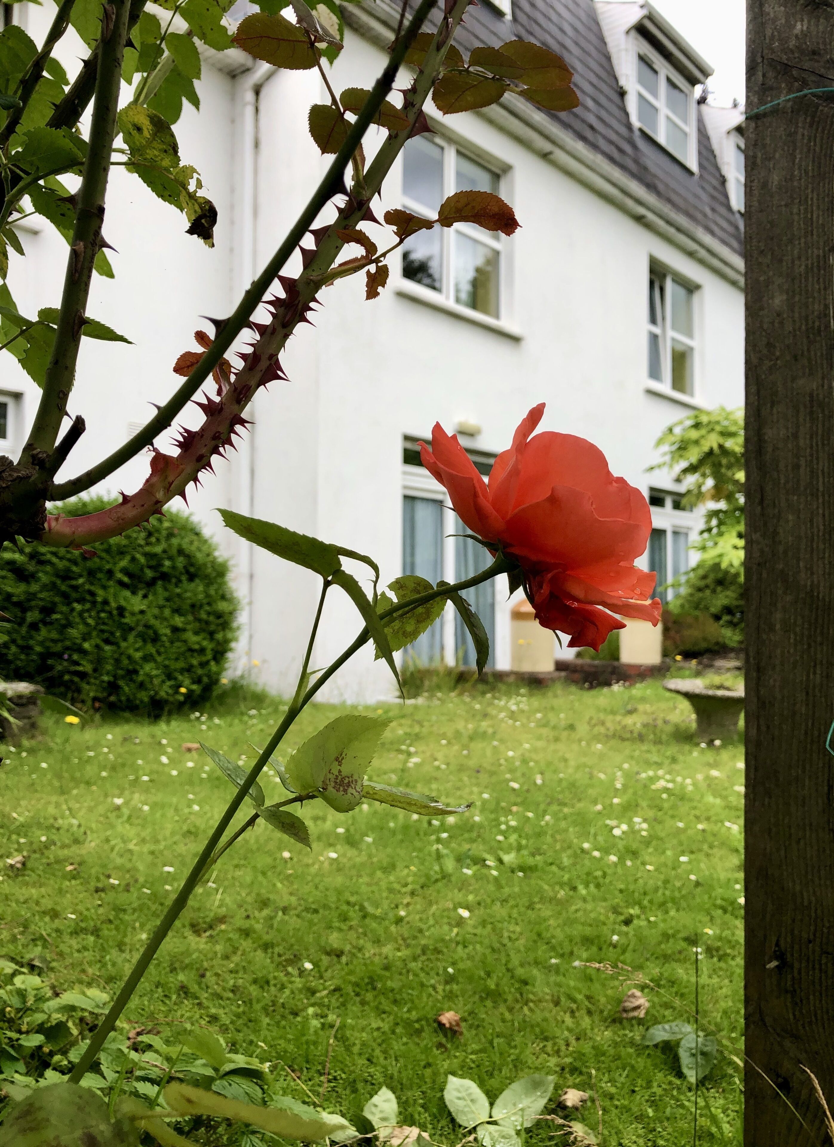 Foto - Belvedere Lodge