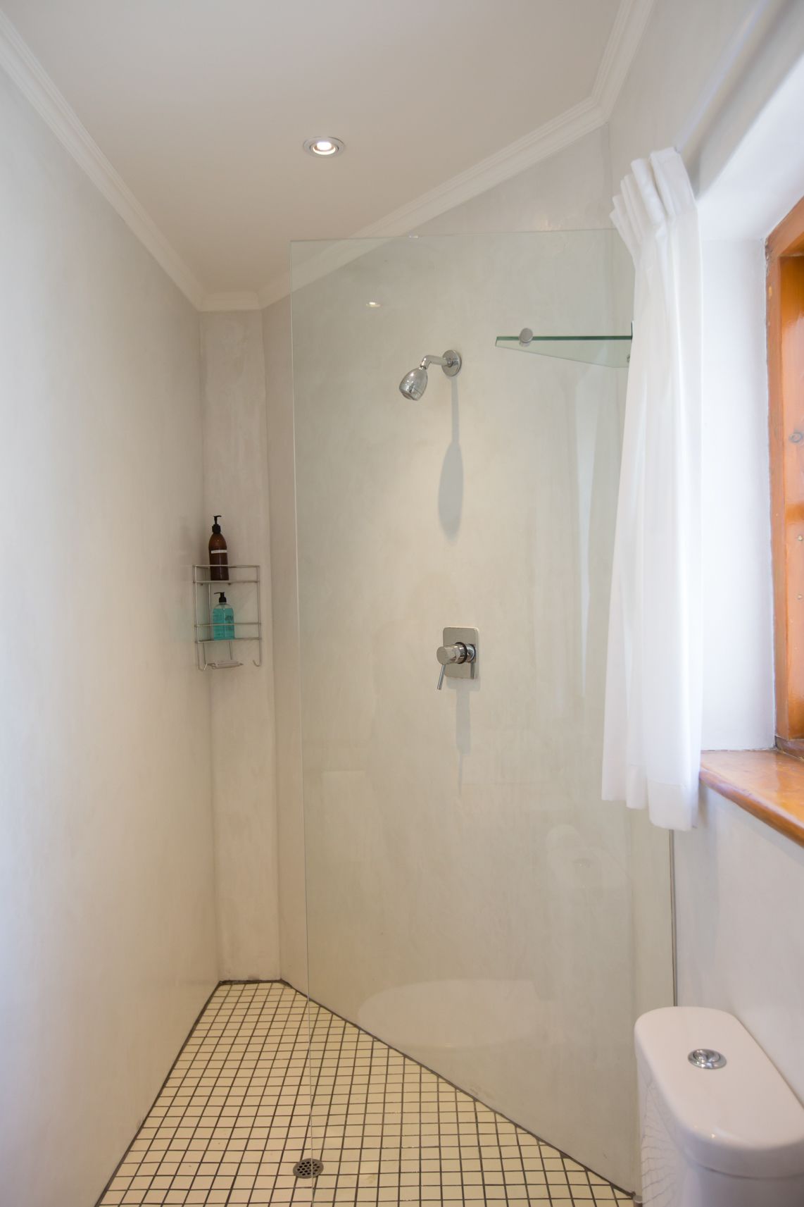 A small, enclosed shower area with a glass door, a toilet, and a shelf with toiletries.