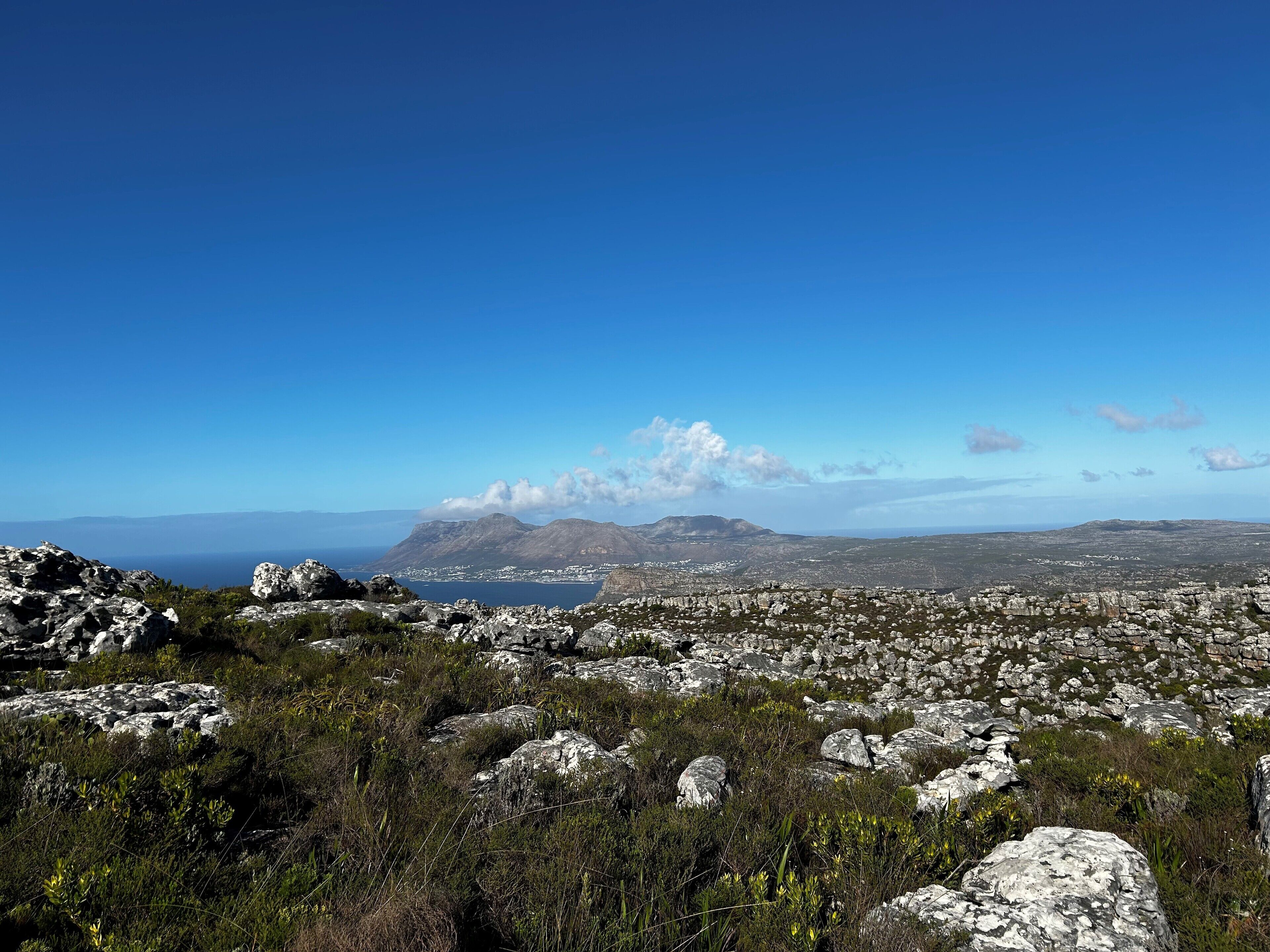 A rocky landscape with sparse vegetation and a distant view of a coastal town.