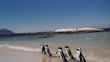 Perto da praia