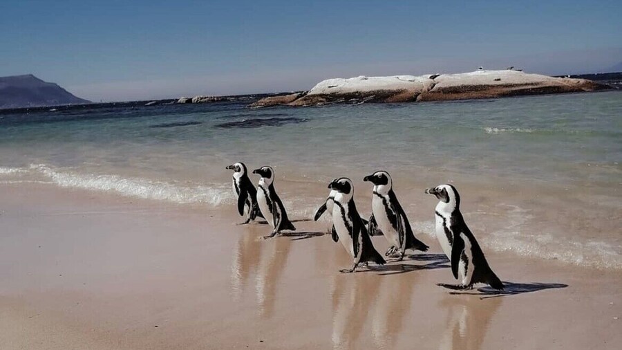 Chartfield Guesthouse