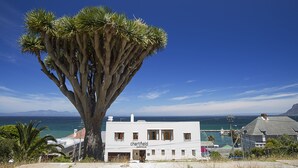 A tree with a unique shape, a white building with 'chartfield' signage, and a view of the sea and mountains in the background.