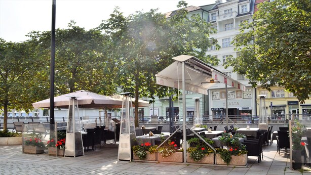 Un café en plein air avec des tables et des chaises, entouré de plantes en pot et avec un bâtiment en arrière-plan.