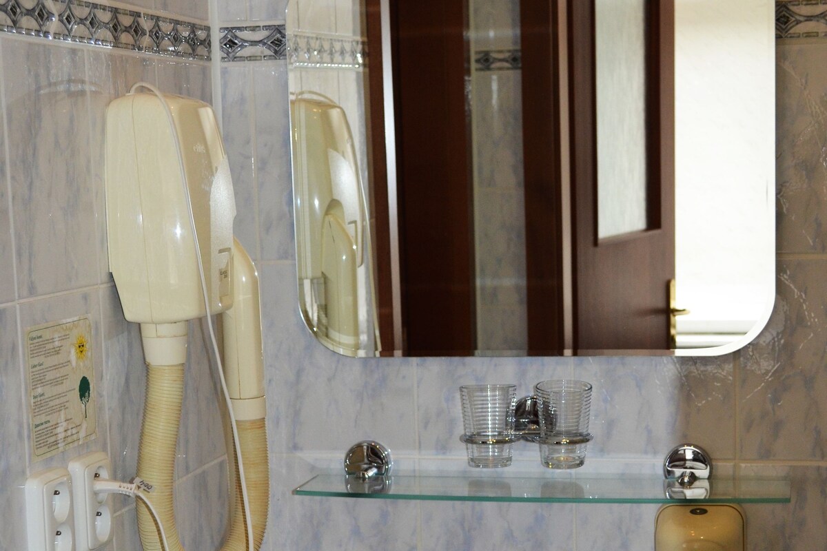 A bathroom with a sink, mirror, and hairdryer.