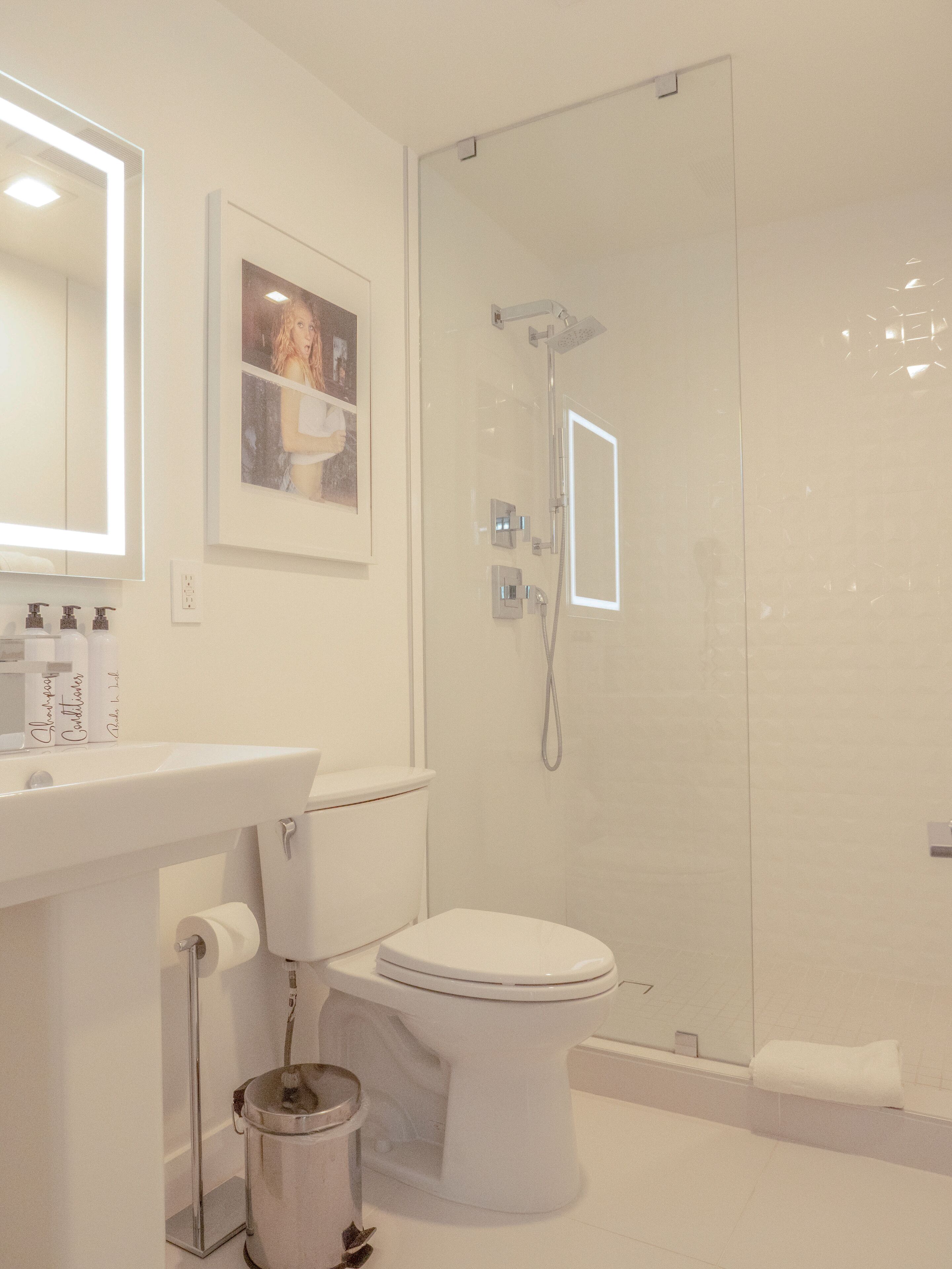 shower, rainfall showerhead, free toiletries, hair dryer