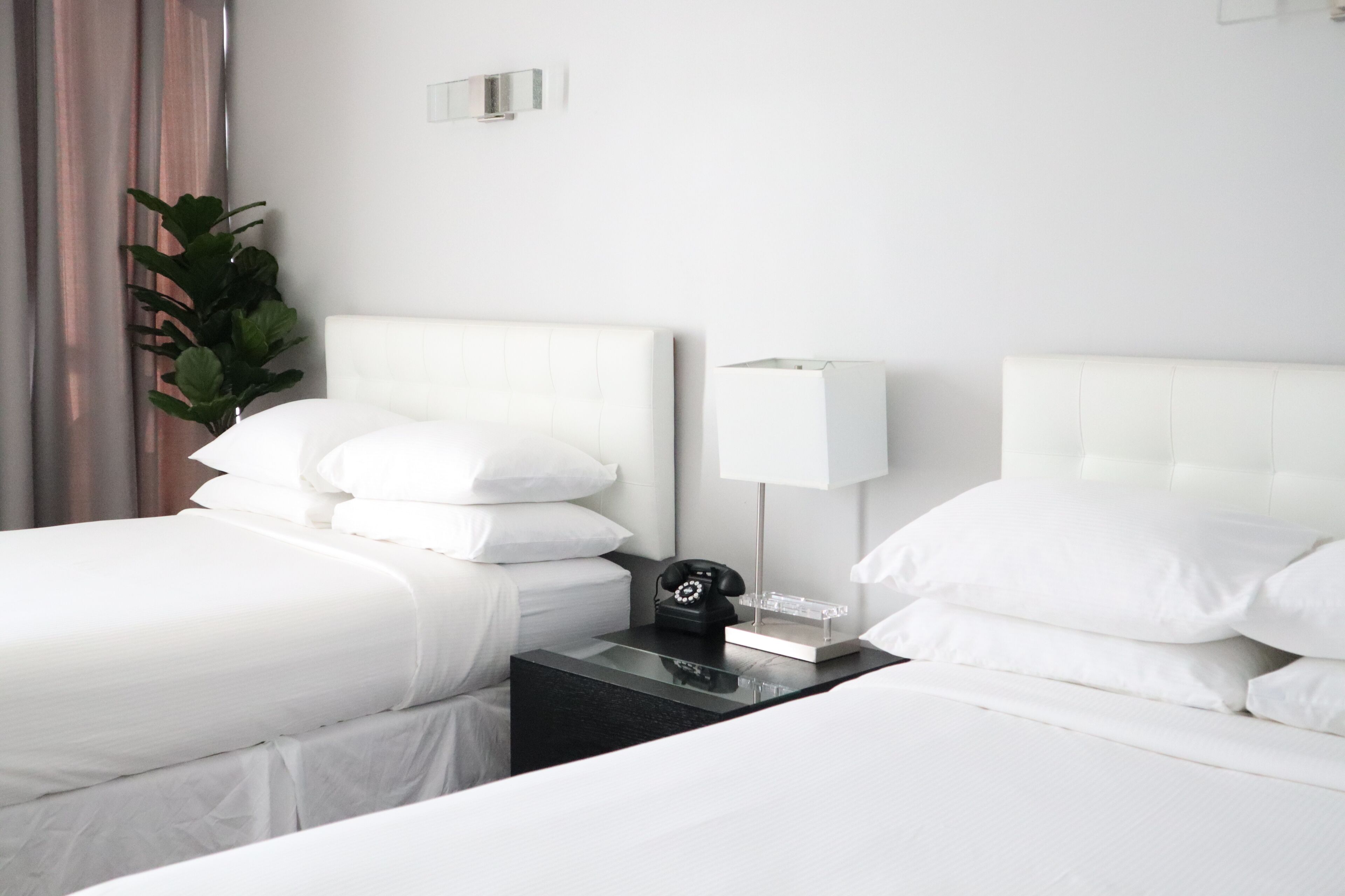 A hotel room with two beds, a bedside table with a lamp, a telephone, and a plant.