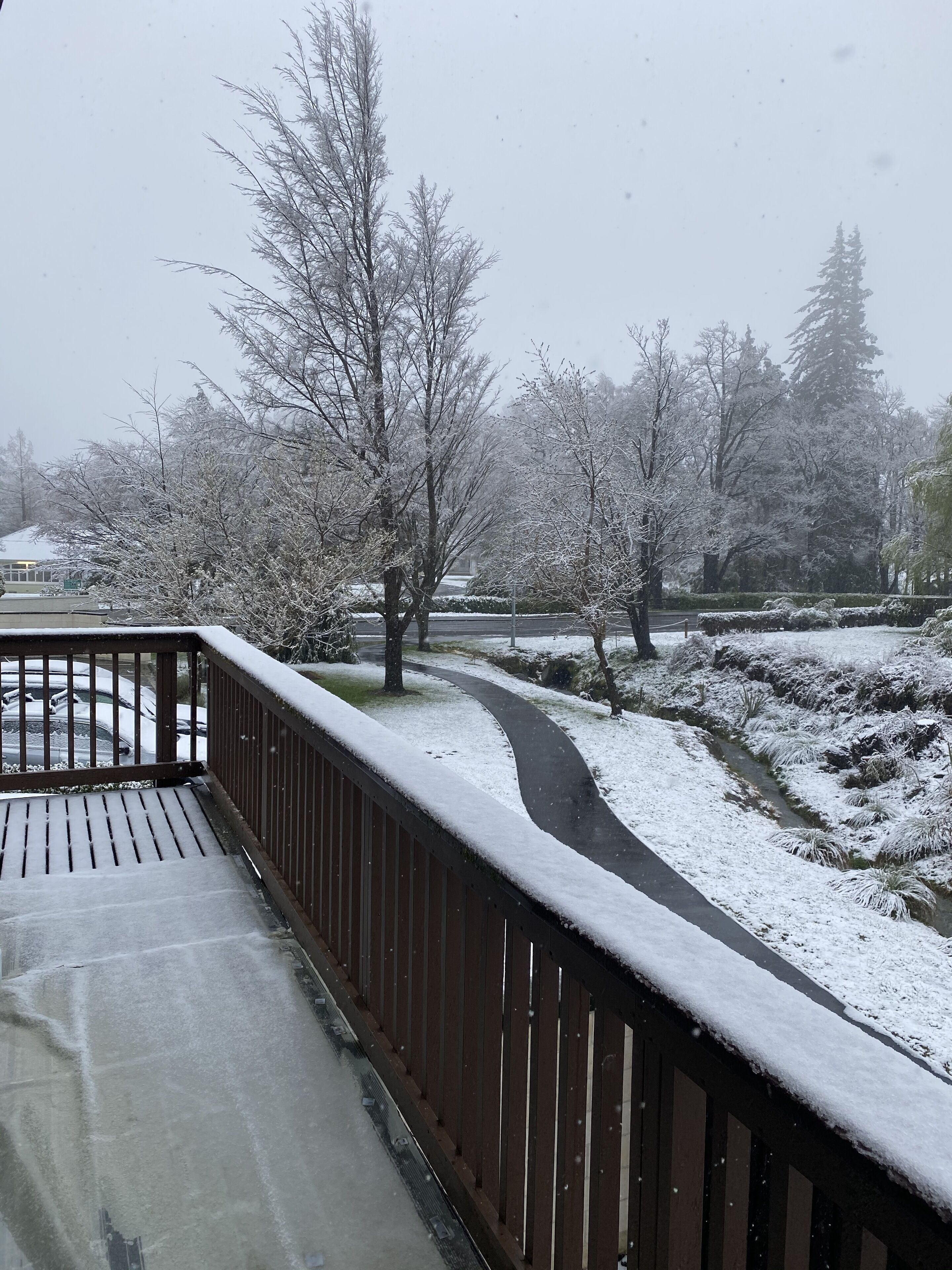 Un pont enneigé, doté d’une rambarde métallique, entouré d’arbres chargés de neige et bordé d’un sentier.