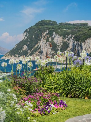 Un jardín con diversas flores y vistas al mar y a las montañas.