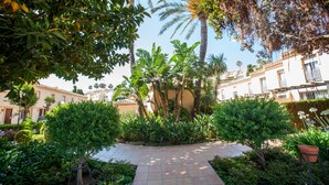 Un patio con un camino empedrado, rodeado de exuberante vegetación y palmeras.