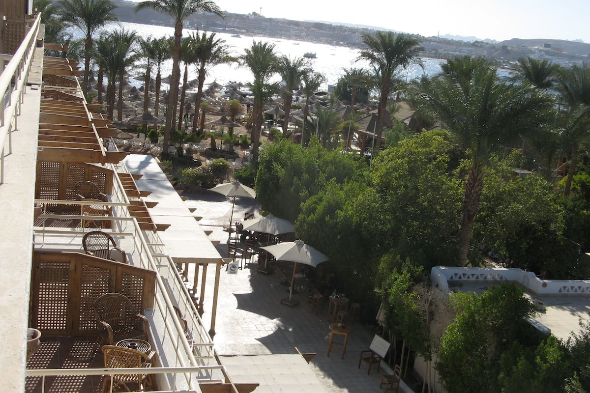 A seaside resort with outdoor seating, palm trees, and a view of the ocean.