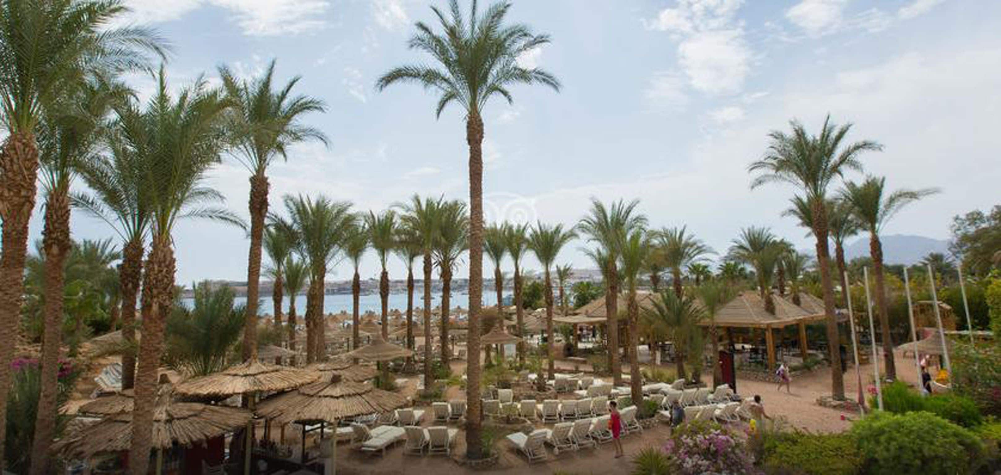 Beach nearby, white sand, beach towels, scuba diving