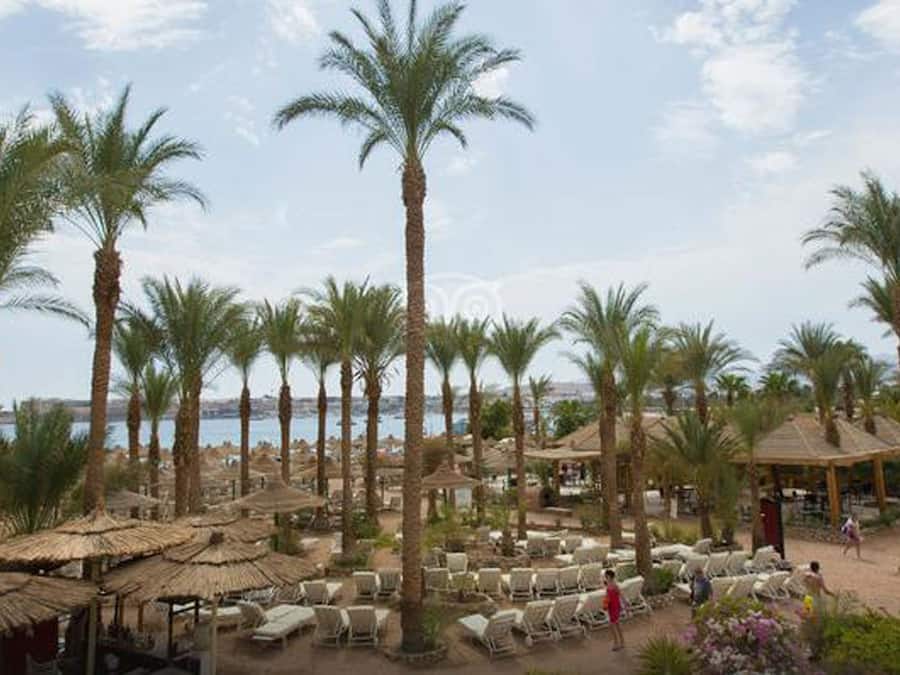 Beach nearby, white sand, beach towels, scuba diving