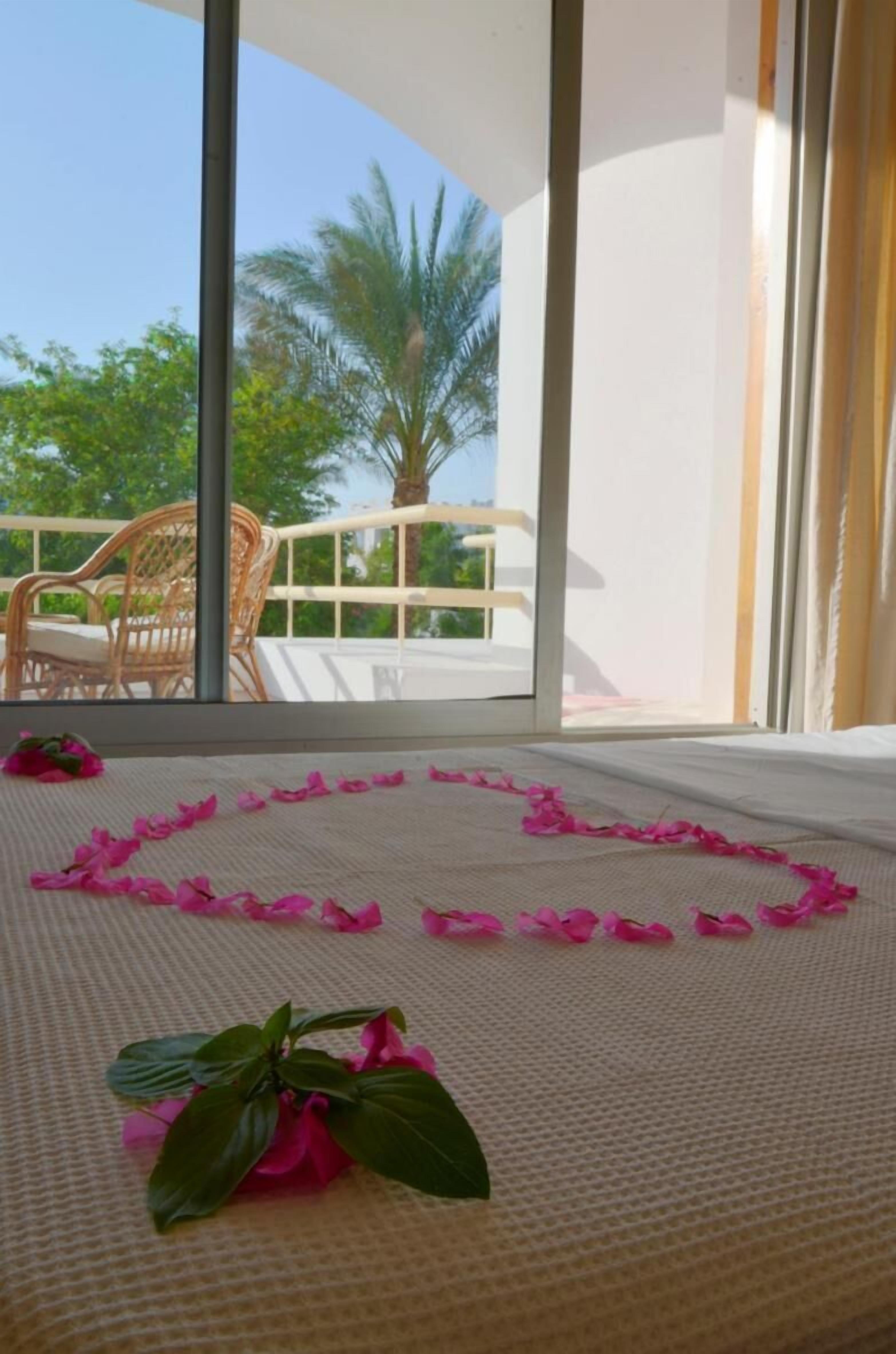 Photo - Oonas Dive Club