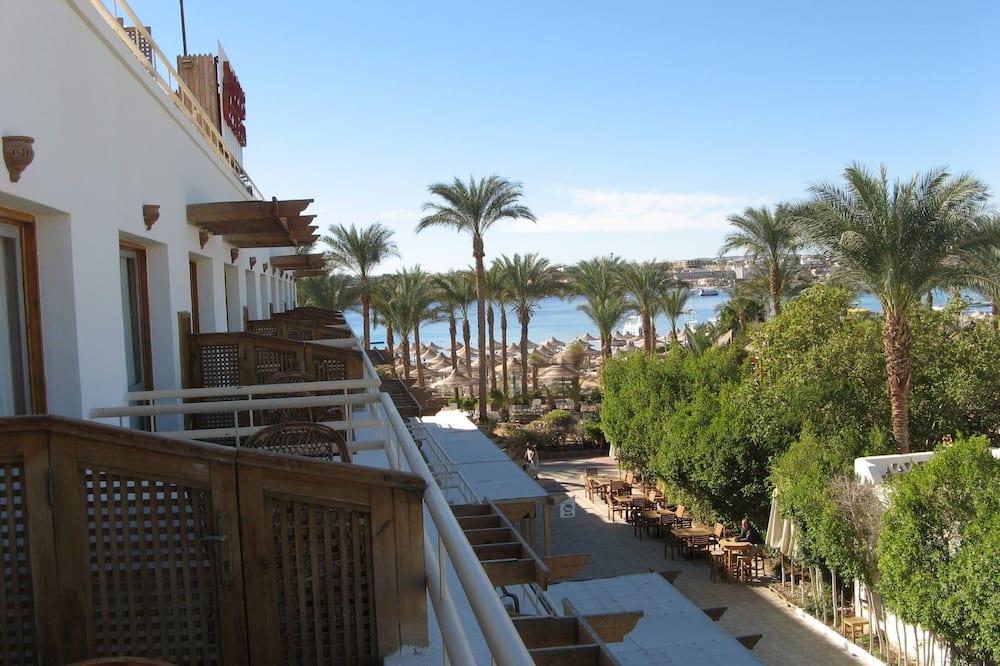 Oonas Dive Club