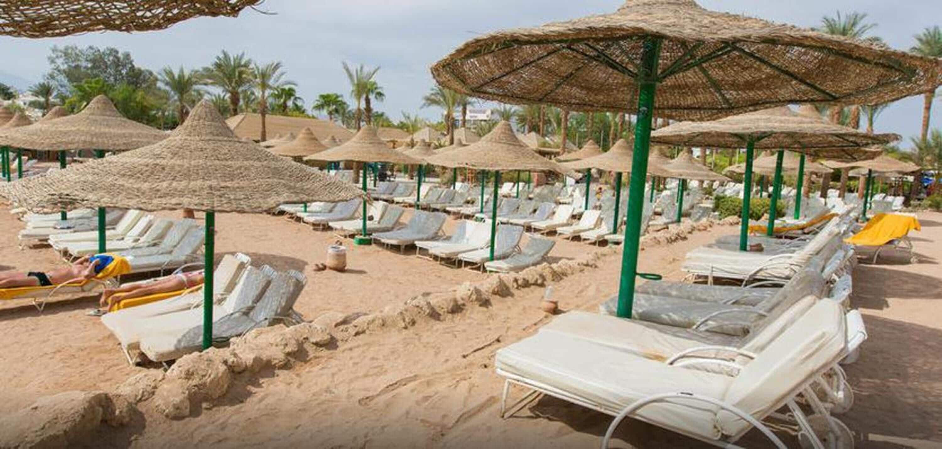 بالقرب من الشاطئ، رمال بيضاء، مناشف للشاطئ، الغوص باستخدام المعدات