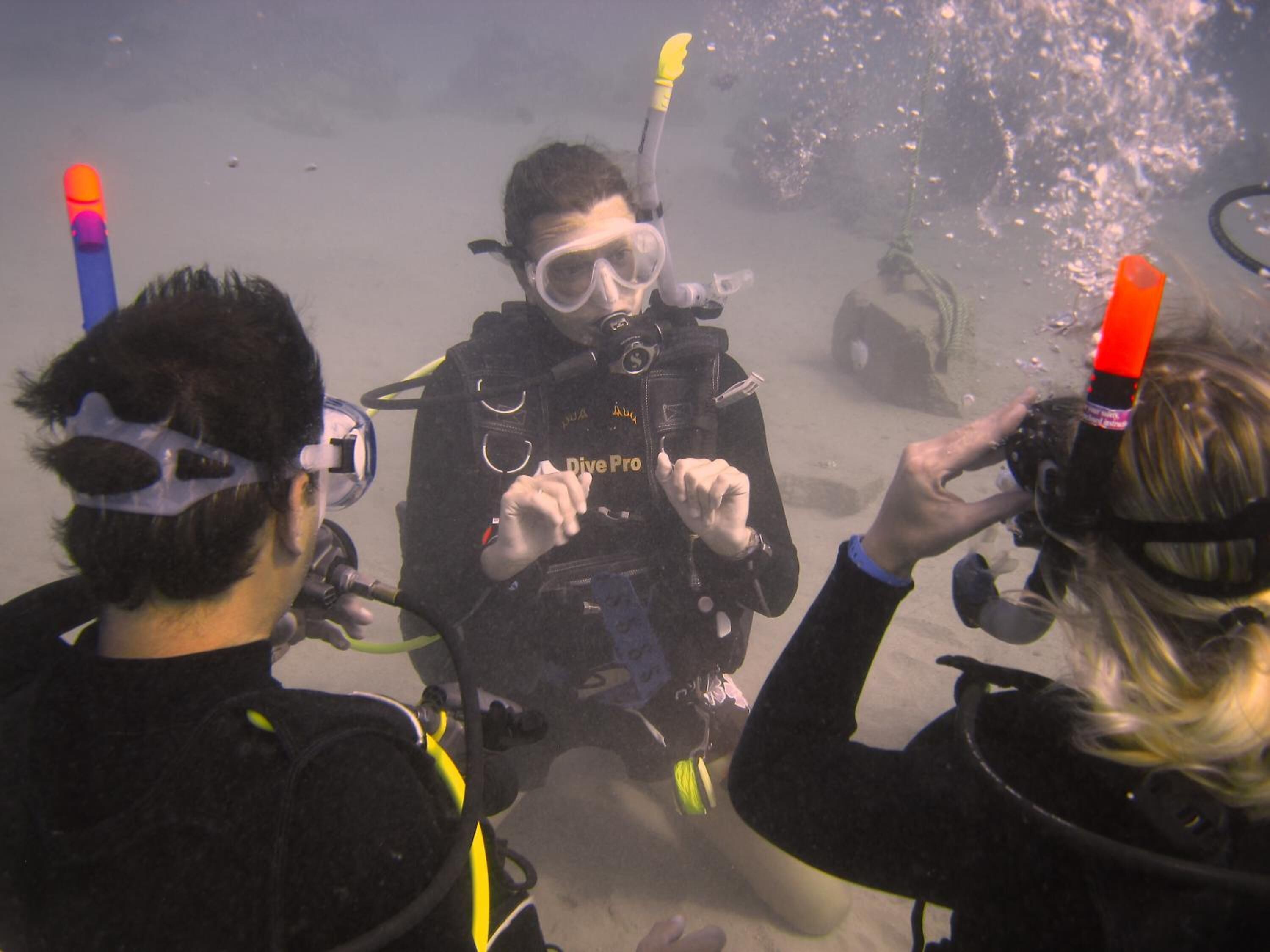 A diver with a mask and snorkel, surrounded by other divers.