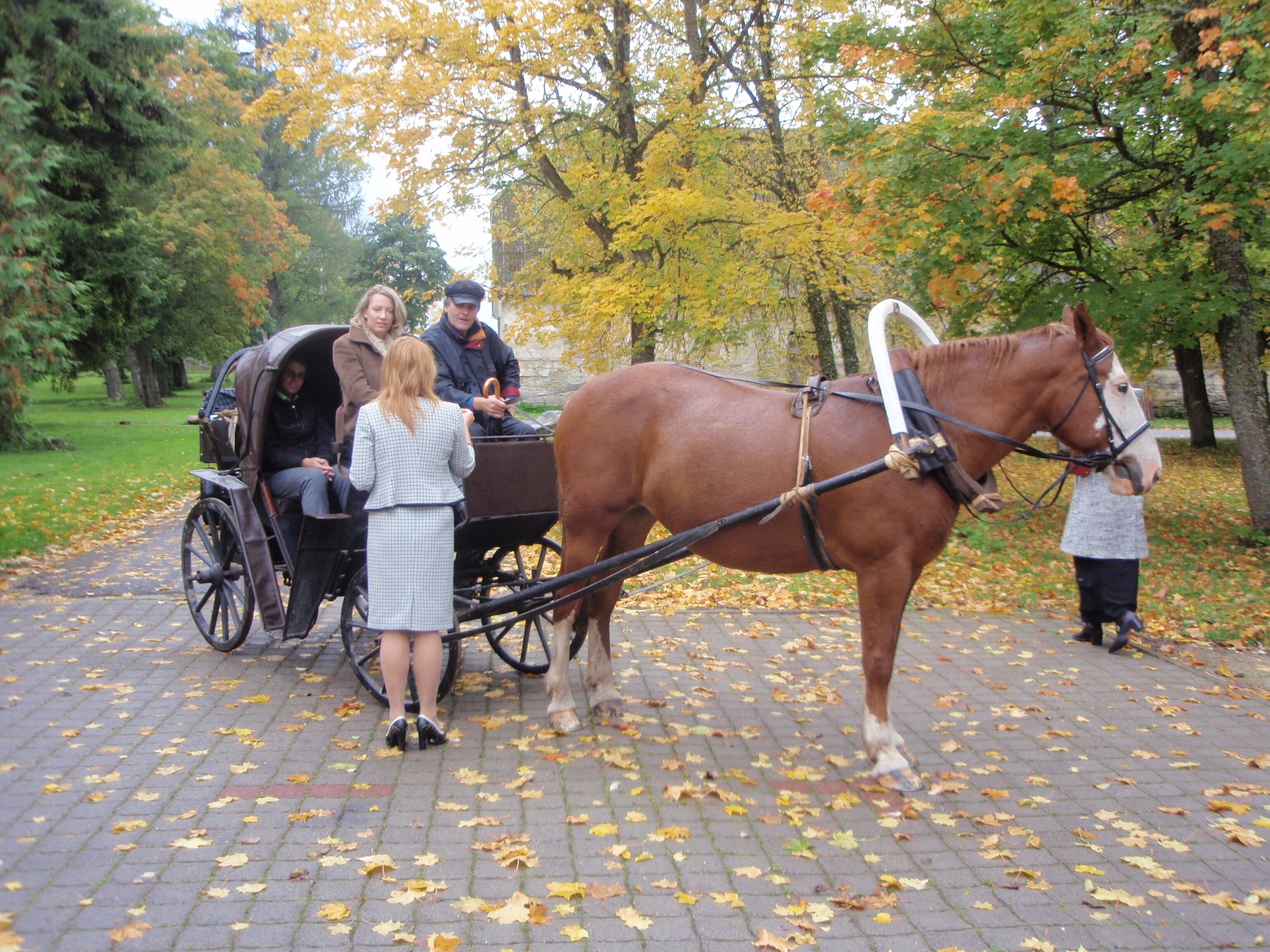 A horse-drawn carriage with passengers on a leaf-covered path.
