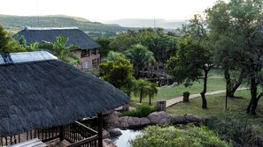 Mountain Lodge - Executive Double Room | View from room - Zebra Nature Reserve (Cullinan)