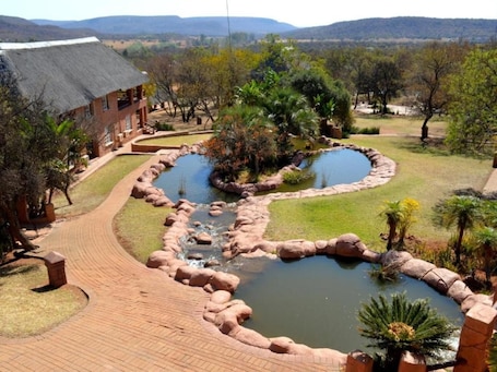 Property grounds. Zebra Nature Reserve