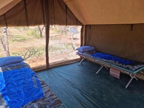 Little Zebra Camp Site | In-room safe, individually decorated, individually furnished, bed sheets - Zebra Nature Reserve (Cullinan)