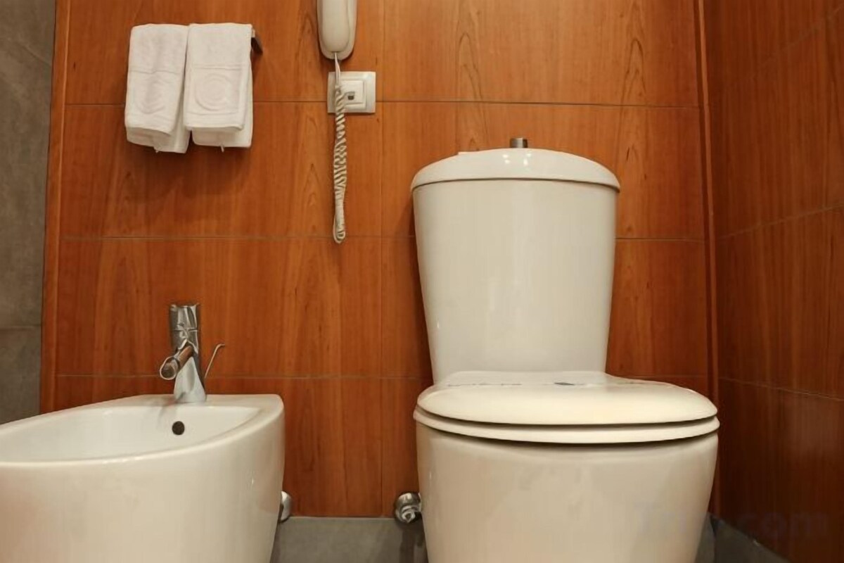 Bathroom | Combined shower/tub, free toiletries, hair dryer, bidet
