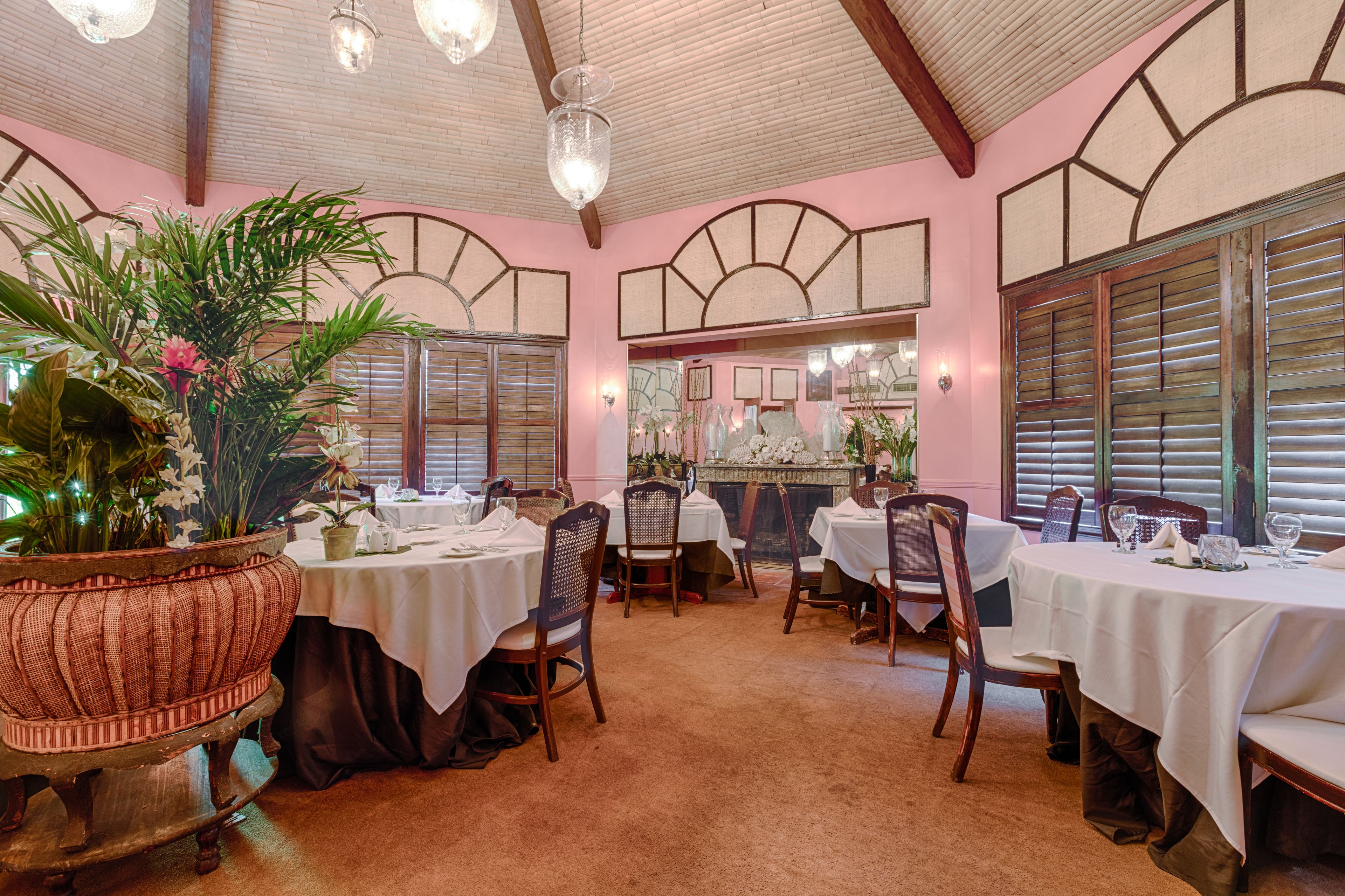 A dining area with tables set for service, wooden chairs, and a large potted plant.