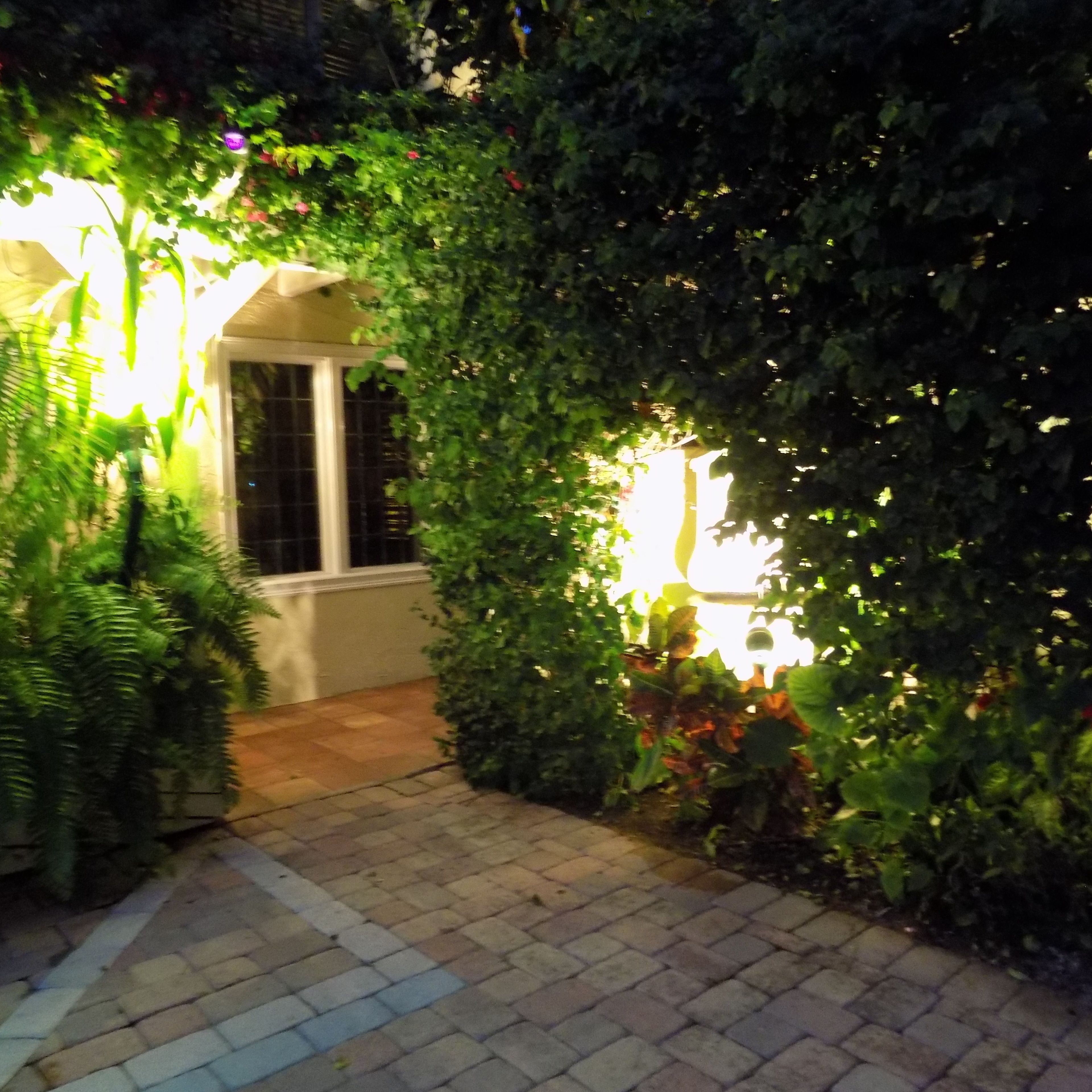 A pathway leading through a garden area with dense foliage and a building entrance.