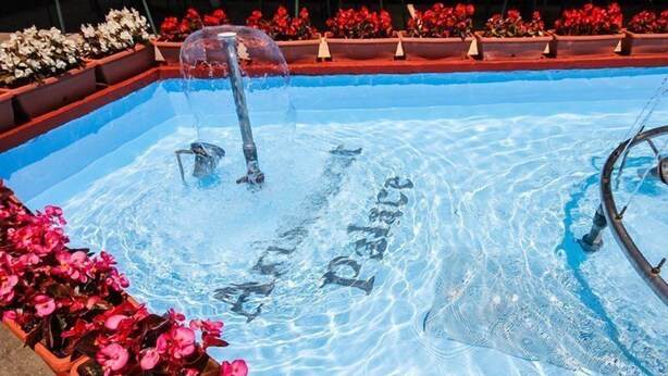 A pool with water jets and flowers around it. - Aristocrat Hotel (Skopje)