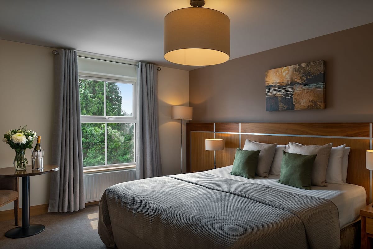 standard double or twin room, 1 king bed | in-room safe, desk, iron/ironing board, free cots/infant beds