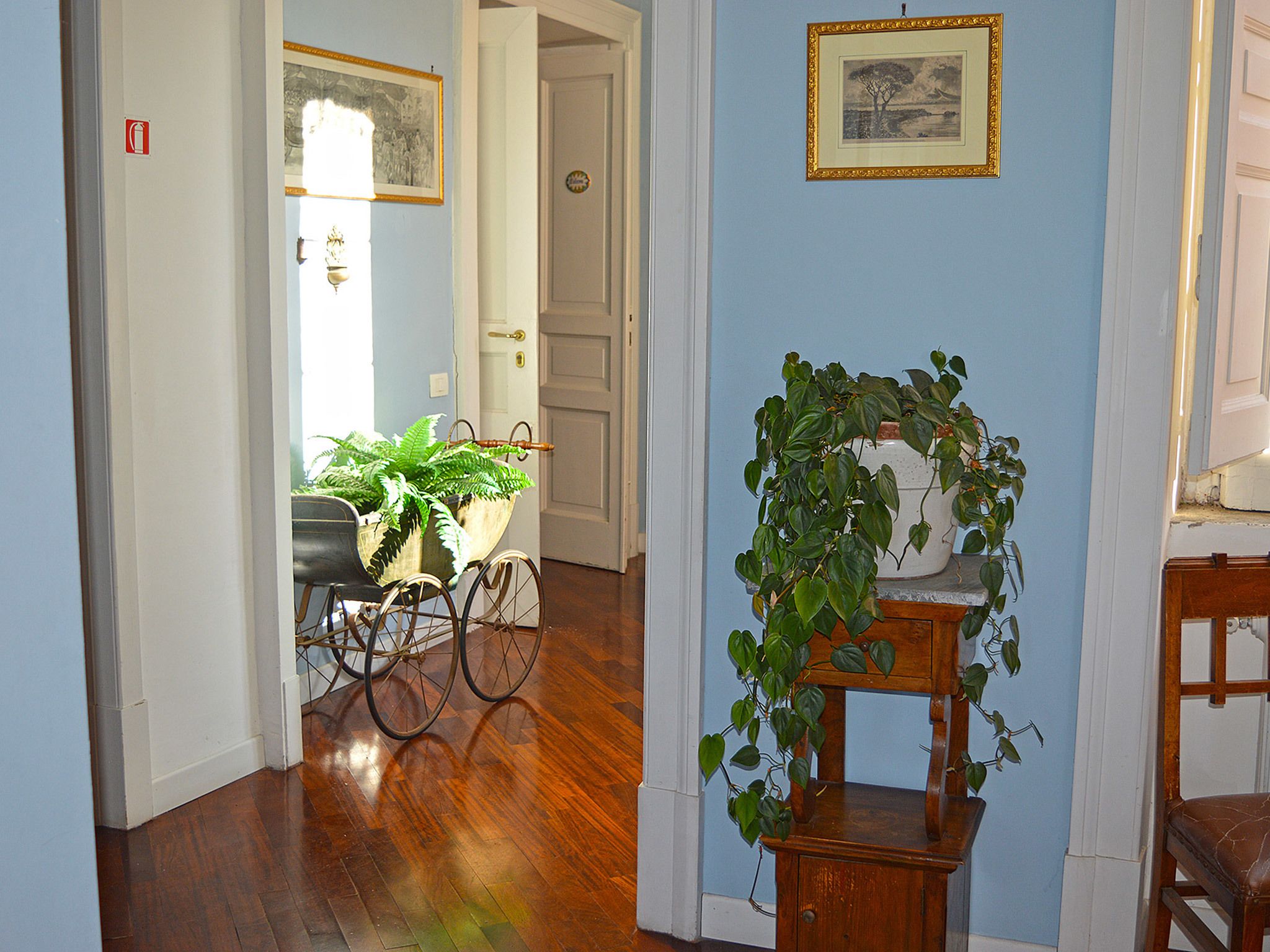 Un pasillo con suelo de madera, una bicicleta y plantas, una puerta y un cuadro en la pared.
