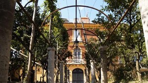 A pathway lined with trees and stone columns leading to a building with an arched entrance.