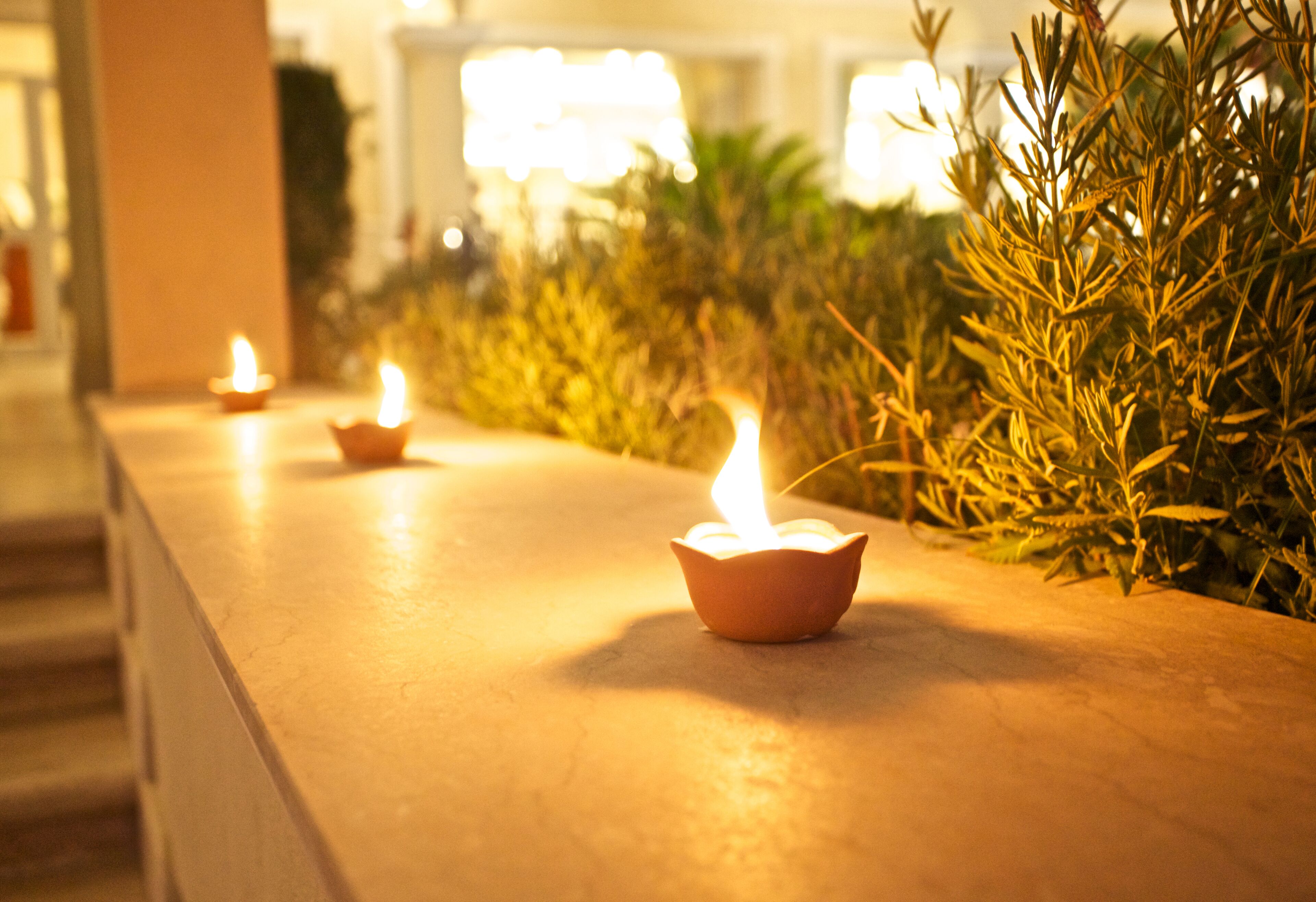 Une rangée de bougies allumées sur un comptoir, avec des plantes en arrière-plan.