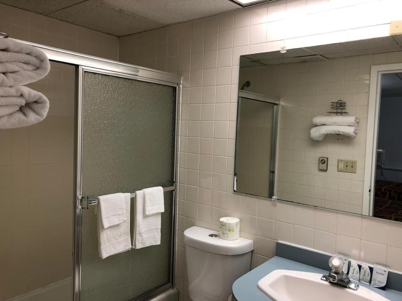 Une salle de bain avec une douche à parois de verre, des toilettes, un lavabo et un miroir.