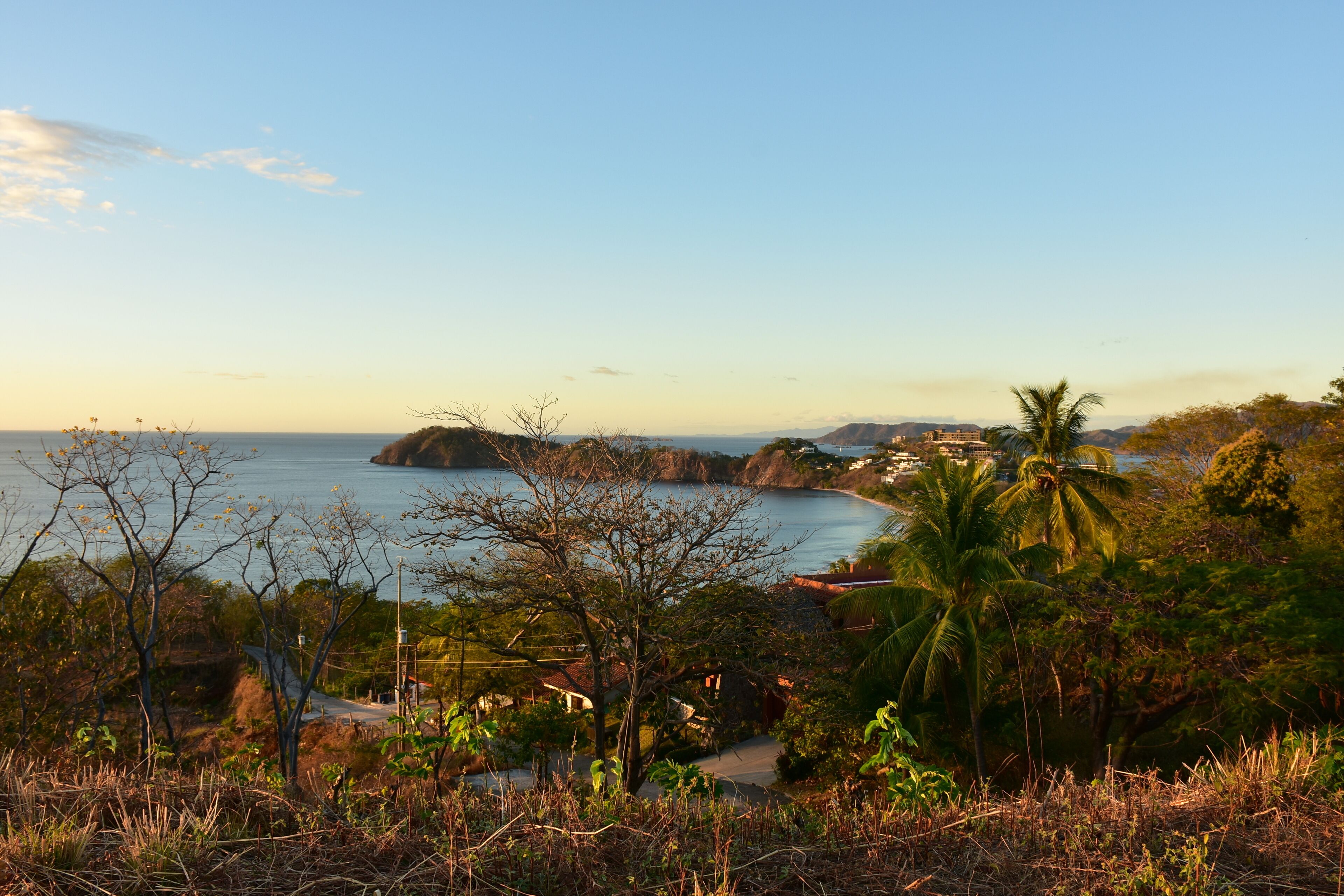 Paisaje costero con vista al mar, palmeras y un camino que lleva a un edificio.