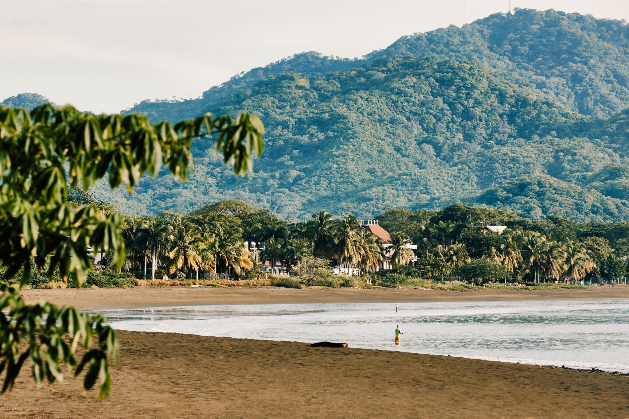 Une plage avec une montagne en arrière-plan, des palmiers et une personne debout dans l’eau.