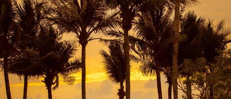 Piscina a l'aire lliure i para-sols