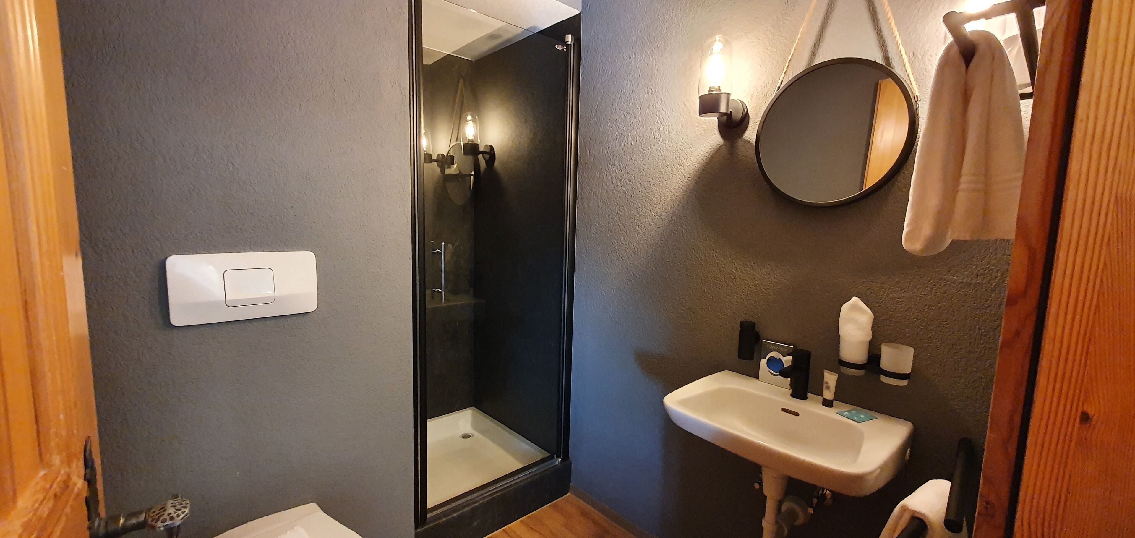 shower, free toiletries, hair dryer, towels