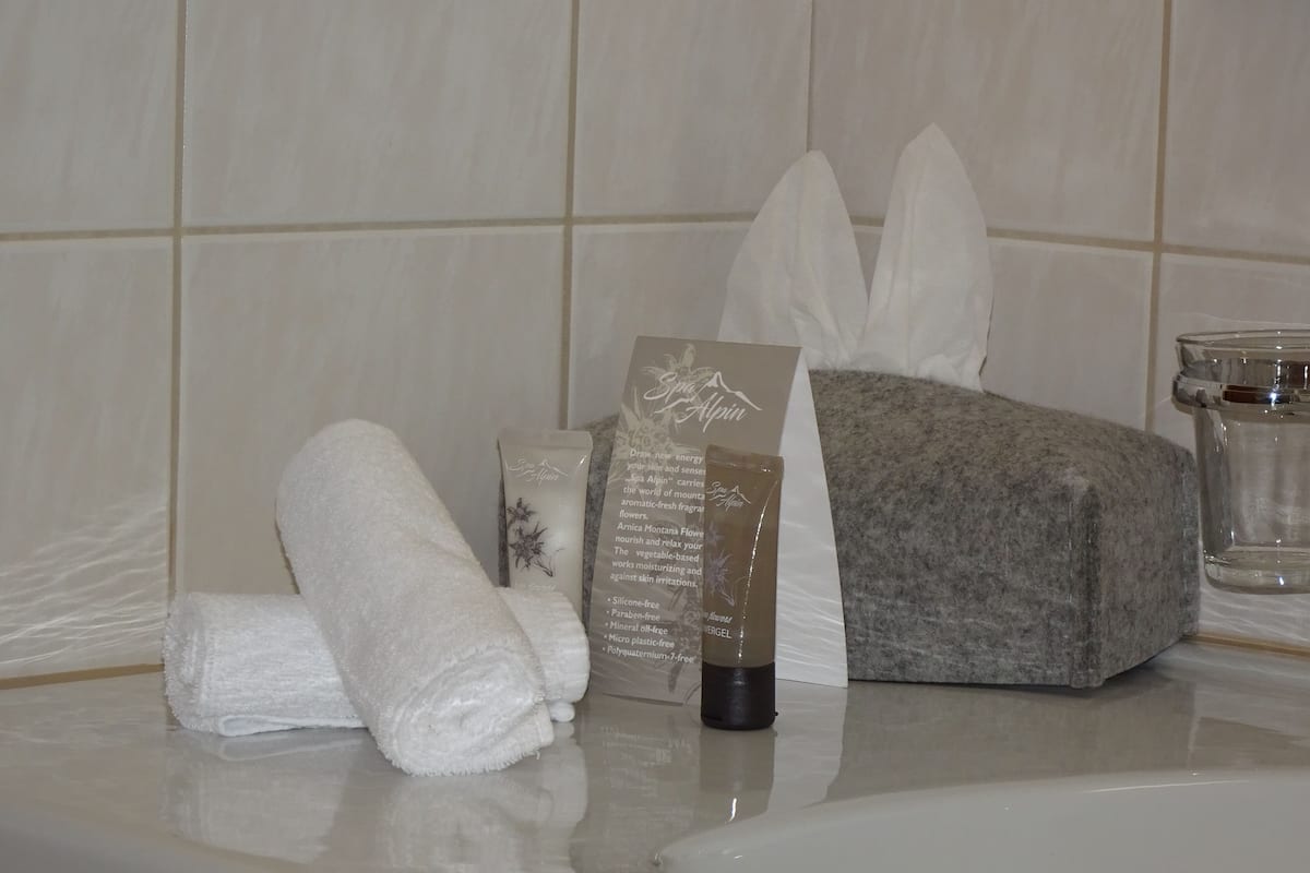 comfort double room, 1 double bed, patio, mountain view | bathroom | shower, free toiletries, hair dryer, towels