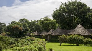 Casas com telhado de palha dispostas em linha, com um gramado bem cuidado e vegetação densa ao fundo.