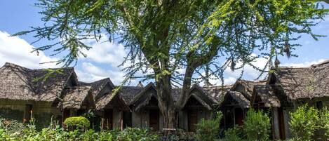 A traditional thatched-roof building with a central tree, surrounded by a well-maintained garden and a clear sky.