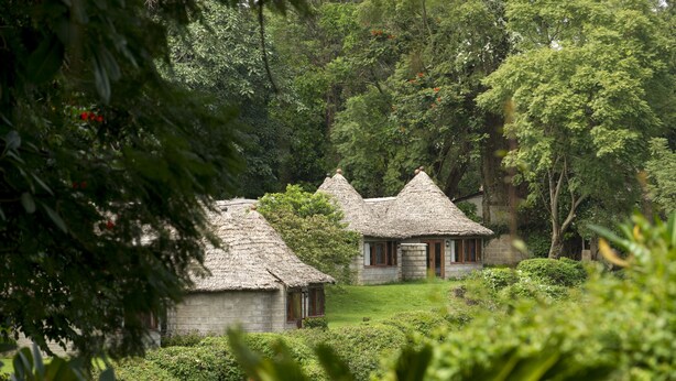Um edifício tradicional com telhado de palha e base de pedra, rodeado por vegetação exuberante e árvores.