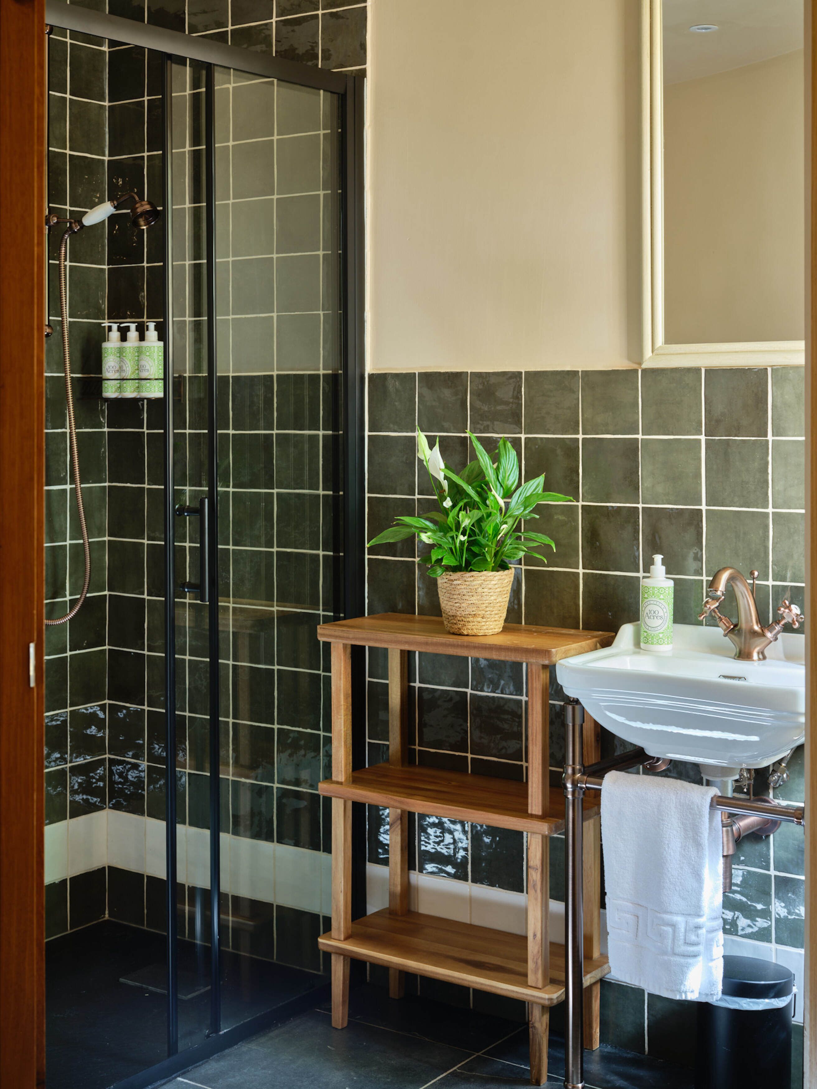 Un baño con mampara de vidrio, un estante de madera con una planta en maceta, un lavabo con grifo y una toalla colgada en un perchero.