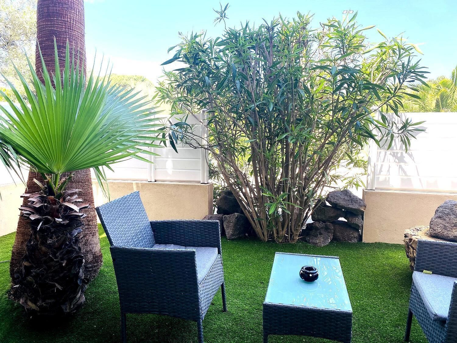 Une terrasse dotée de meubles en osier, d’un palmier et d’une plante de bambou.