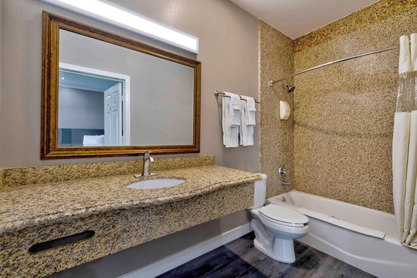 Deluxe Room, 1 Queen Bed, Accessible, Non Smoking | Bathroom | Combined shower/tub, free toiletries, towels