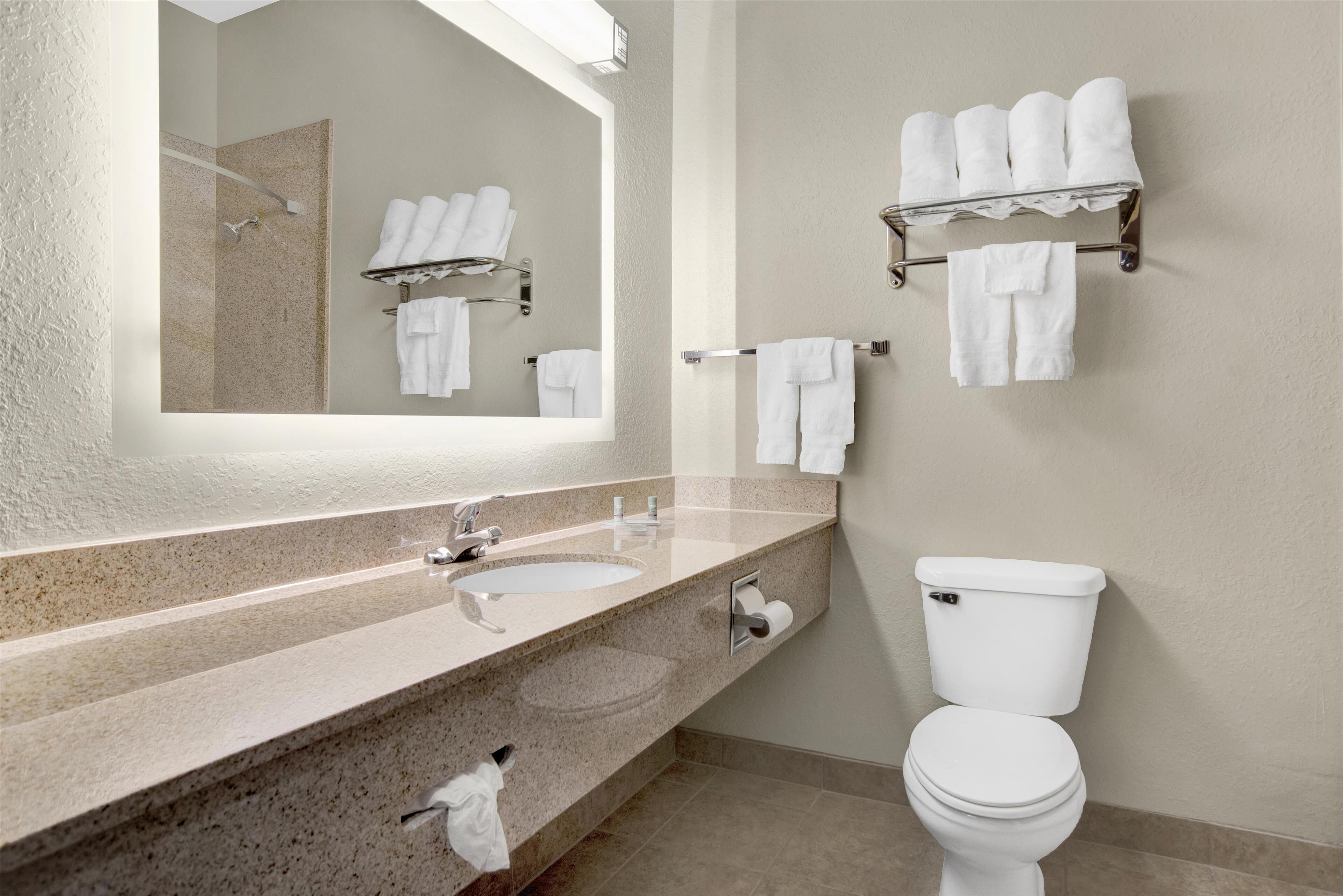 combined shower/bathtub, free toiletries, hair dryer, towels