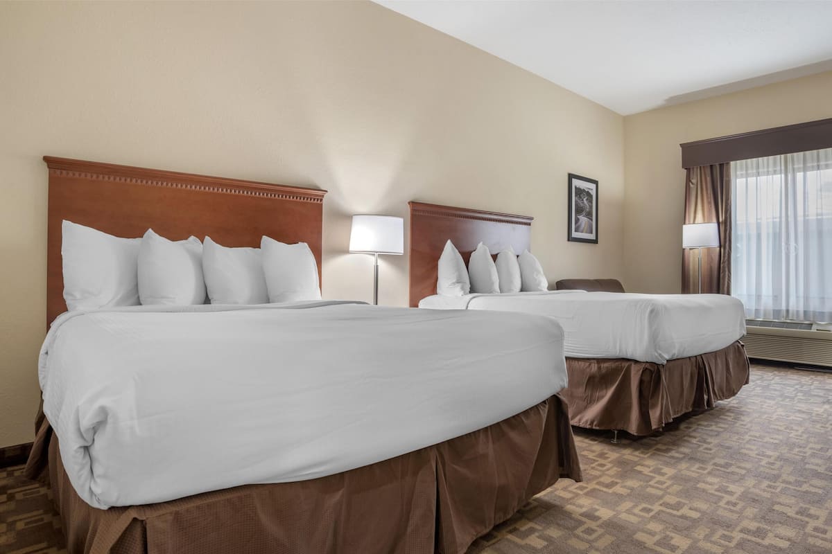 Habitación de hotel con dos camas, cada una con ropa de cama blanca y cabeceros marrones. Hay una mesita de noche con una lámpara entre las camas y un cuadro enmarcado en la pared.