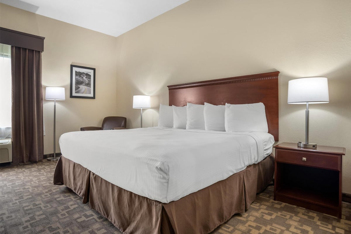 Habitación de hotel con una cama grande, dos mesitas de noche con lámparas, una silla e imagen enmarcada en la pared.